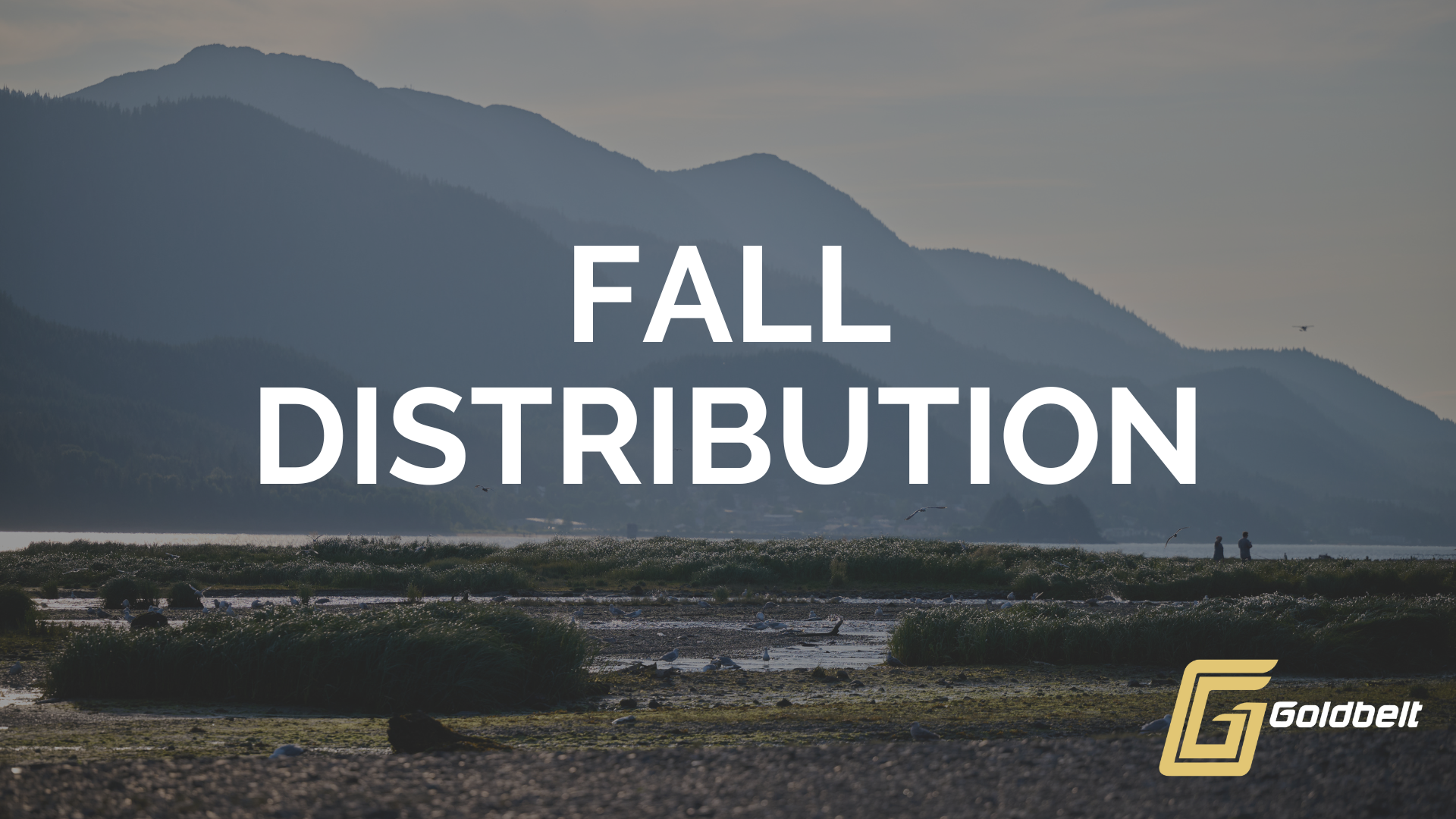 Copy of Fall CEO Livestream 2025.png